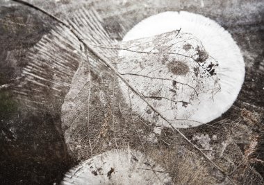 kaçınılmaz impermanence