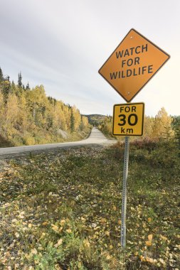 Watch yaban hayatı için