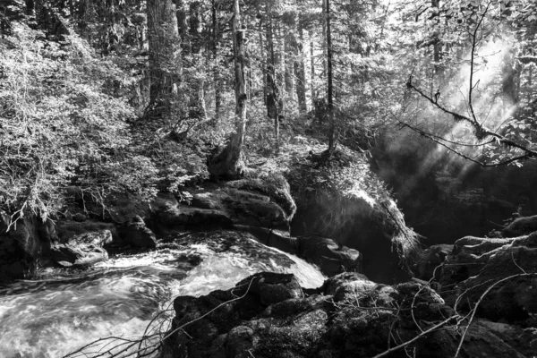 Sopra le cascate — Foto Stock