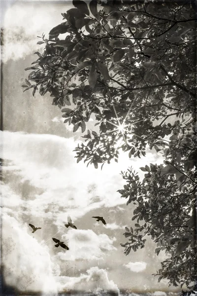 Zonneschijn en vrijheid — Stockfoto