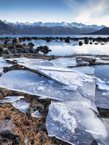 Punto de imagen Hojas de hielo —  Fotos de Stock