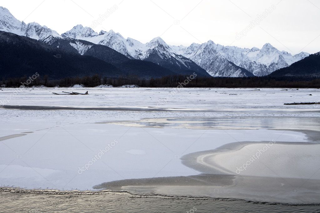 Chilkat River Ice