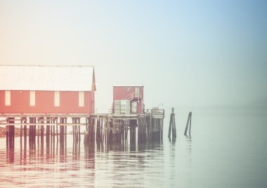 Sisin içinde konserve