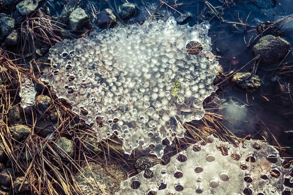 Deniz buzu — Stok fotoğraf