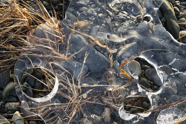 Derretimiento del hielo marino —  Fotos de Stock