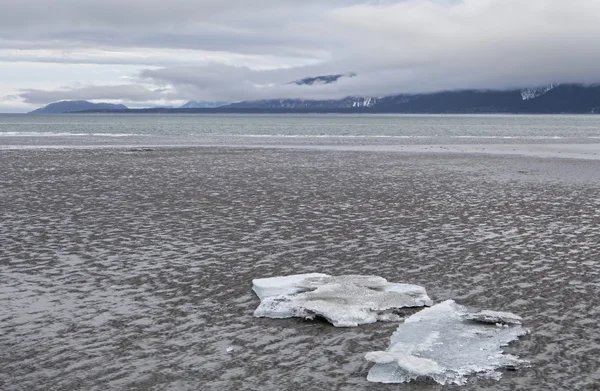 Isberg vid stranden — Stockfoto