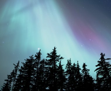 Alaska Kuzey ışıkları