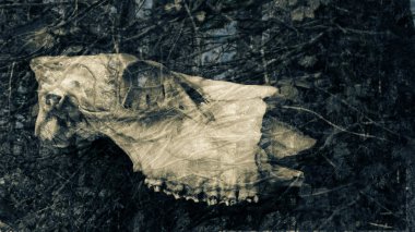 Kemiğin bir ölüm ilanı