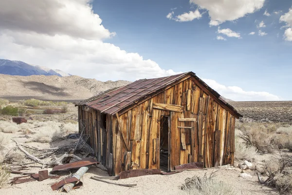 Miner 's Shack in Benton Hot Springs — стоковое фото