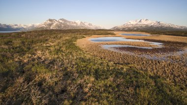 Kanada Tundra içinde akşam ışığı.