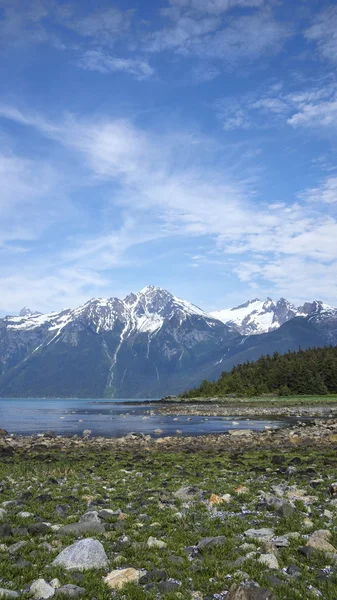 Jihovýchodní aljašské cove — Stock fotografie