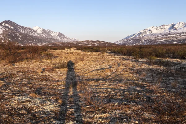 Ombra del fotografo nella Tundra alpina — Foto Stock