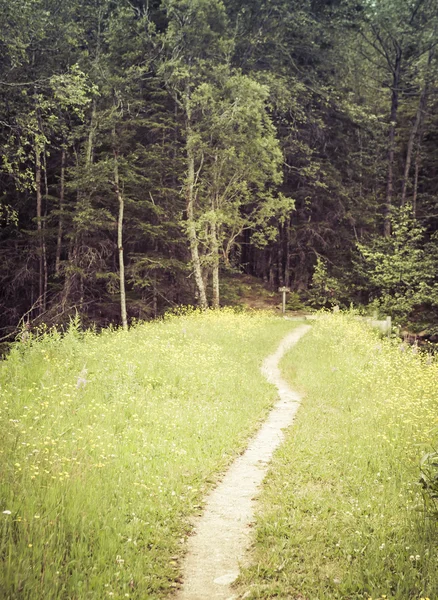 Yolu izle — Stok fotoğraf