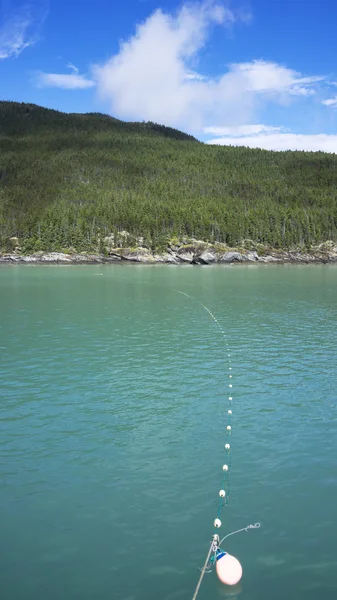 Salmon Gill Net Set — Stock Photo, Image