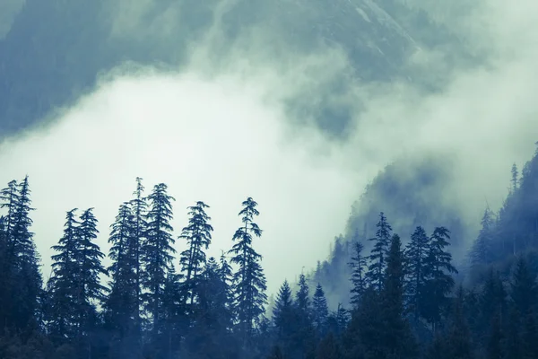 Bergen en mist — Stockfoto