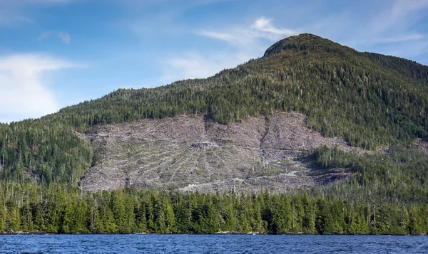 Kahlschlag in Südostasien — Stockfoto