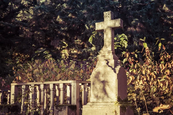 Gravestone na luz dappled — Fotografia de Stock