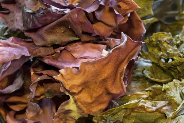 Dried Seaweed Mix — Stock Photo, Image