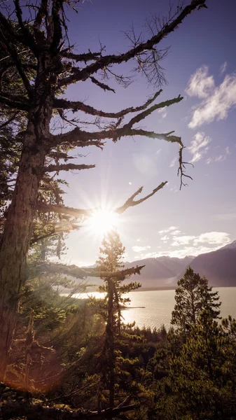 Vor Sonnenuntergang in Südostasien alaska — Stockfoto