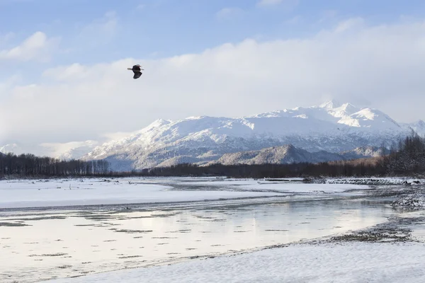 Chilkat River i vinter — Stockfoto