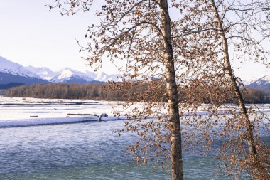 Eagles için bekliyor