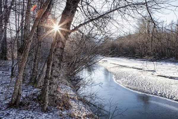 Creekside v zimě — Stock fotografie