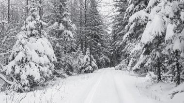 Kışın donmuş Beach