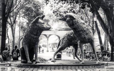 Çakallar çeşme Coyoacan, Mexico City