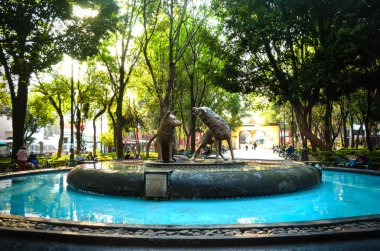 Çakallar çeşme Coyoacan, Mexico City