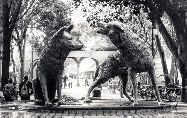 Coyotes fountain in Coyoacan, Mexico City