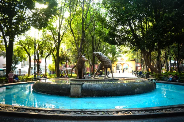 Coyoacan, 멕시코 시티에 있는 코요테 분수 — 스톡 사진