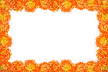 Cempasuchil çiçek çerçevesi. Tagetes Erecta, Ölüm Gününün Meksika çiçeği.