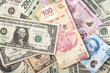 Dolar ve Meksika Pezosu faturaları