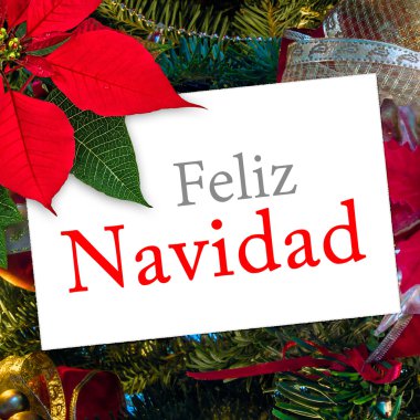 Noel tebrik kartı yılbaşı çiçeği dekorasyonu ile metin