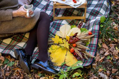 sonbaharda ekose bir battaniyede piknik