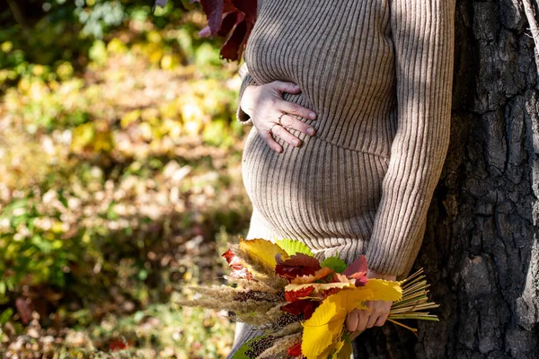 Pregnant Woman Belly — стоковое фото