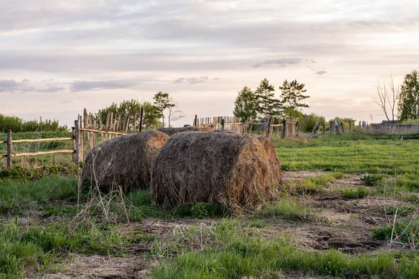 村里成堆的干草 — 图库照片