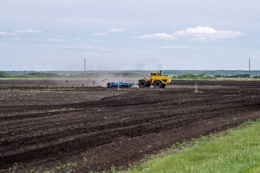 Traktör tarlayı gömer ve arkasından kargalar uçar.