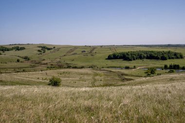 Rus köyündeki yeşil çayırlar ve tarlalar