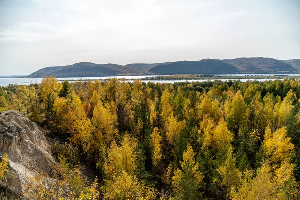 Höst Skogslandskap Från Höjd Färgglada Träd Senhösten — Stockfoto