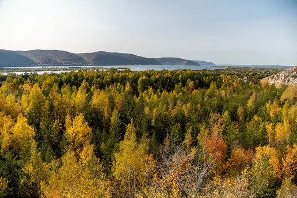 Höst Skogslandskap Från Höjd Färgglada Träd Senhösten — Stockfoto