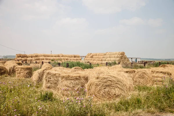 Haystack Supplies Animal Feed Barn Outdoors — Stock Photo, Image