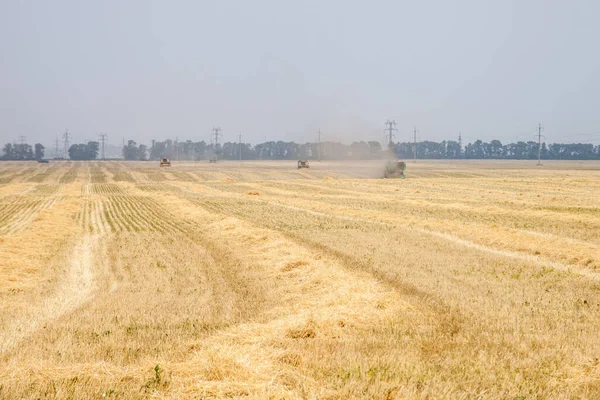 Збирання Пшениці Комбайнами Збір Врожаю — стокове фото