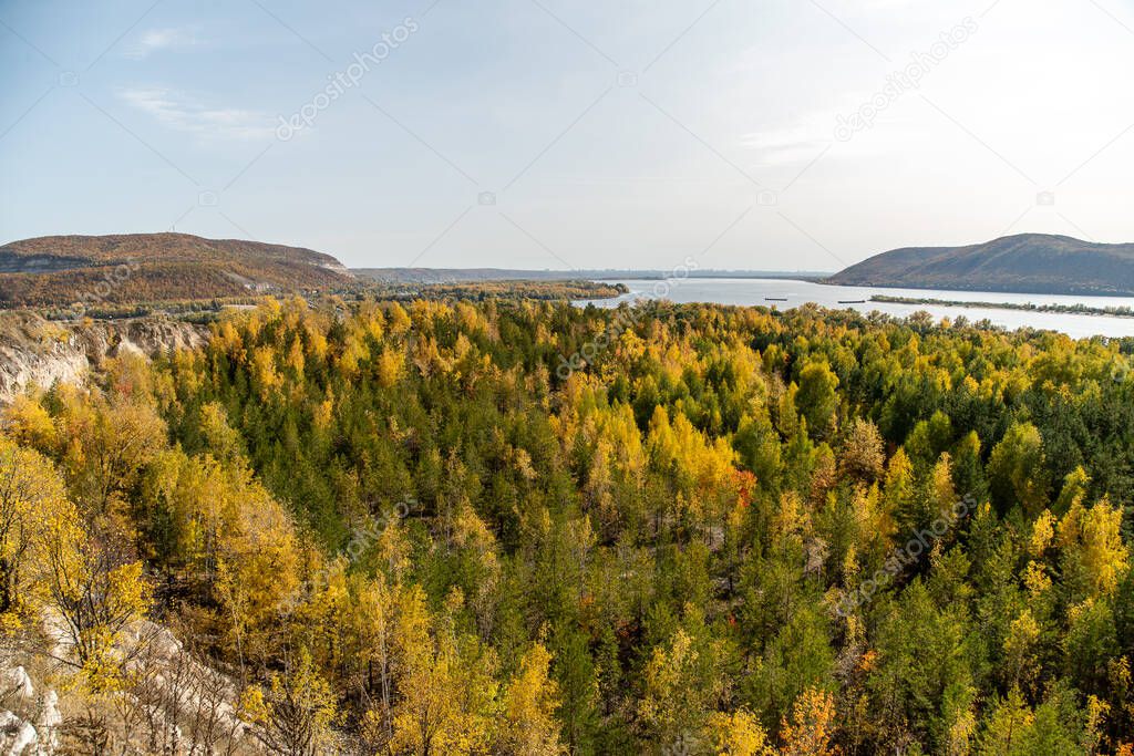 autumn forest landscape from a height. colorful trees in late autumn