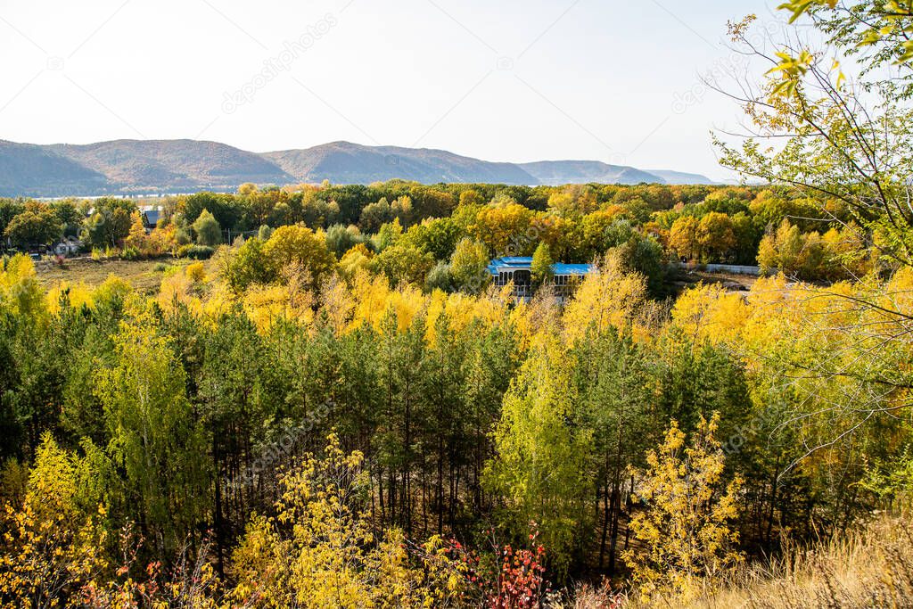 autumn forest landscape from a height. colorful trees in late autumn