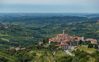 Üzüm bağları ve manzaralarla çevrili Smartno kasabasının bir resmi..