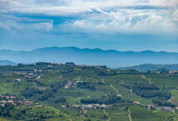 A picture of the vineyards, a town, and the landscape of Goriska Brda.