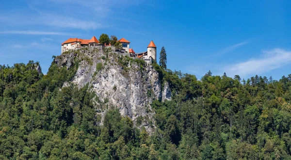 Picture Bled Castle Surrounding Woods — Stock Photo, Image