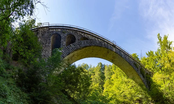 Obraz Kamiennego Mostu Pociągu Który Można Zobaczyć Ścieżki Vintgar Gorge — Zdjęcie stockowe