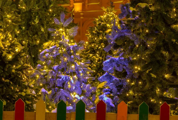 Ein Bild Von Einigen Beleuchteten Weihnachtsbäumen Den Straßen Von Moskau — Stockfoto